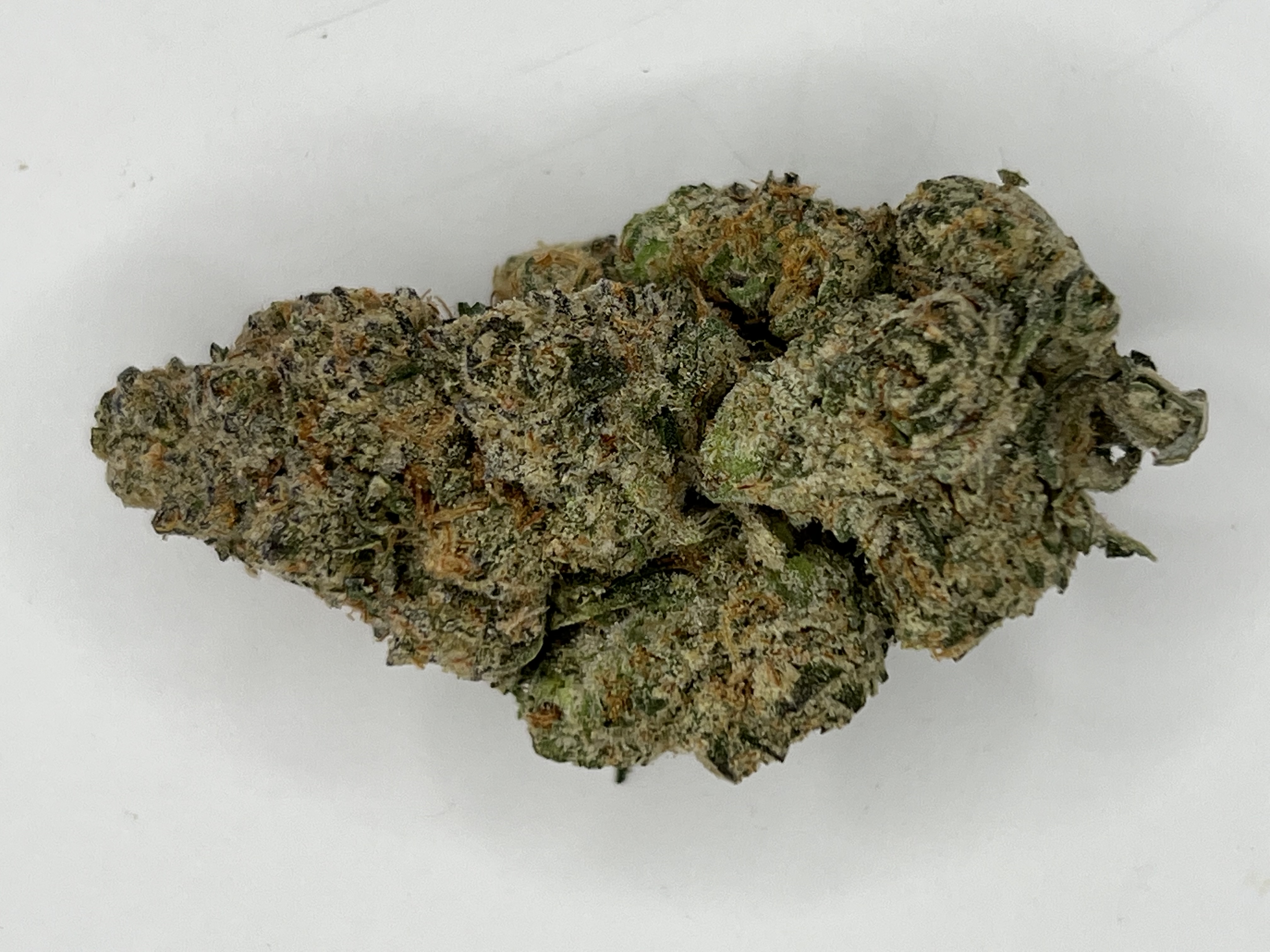 White russian