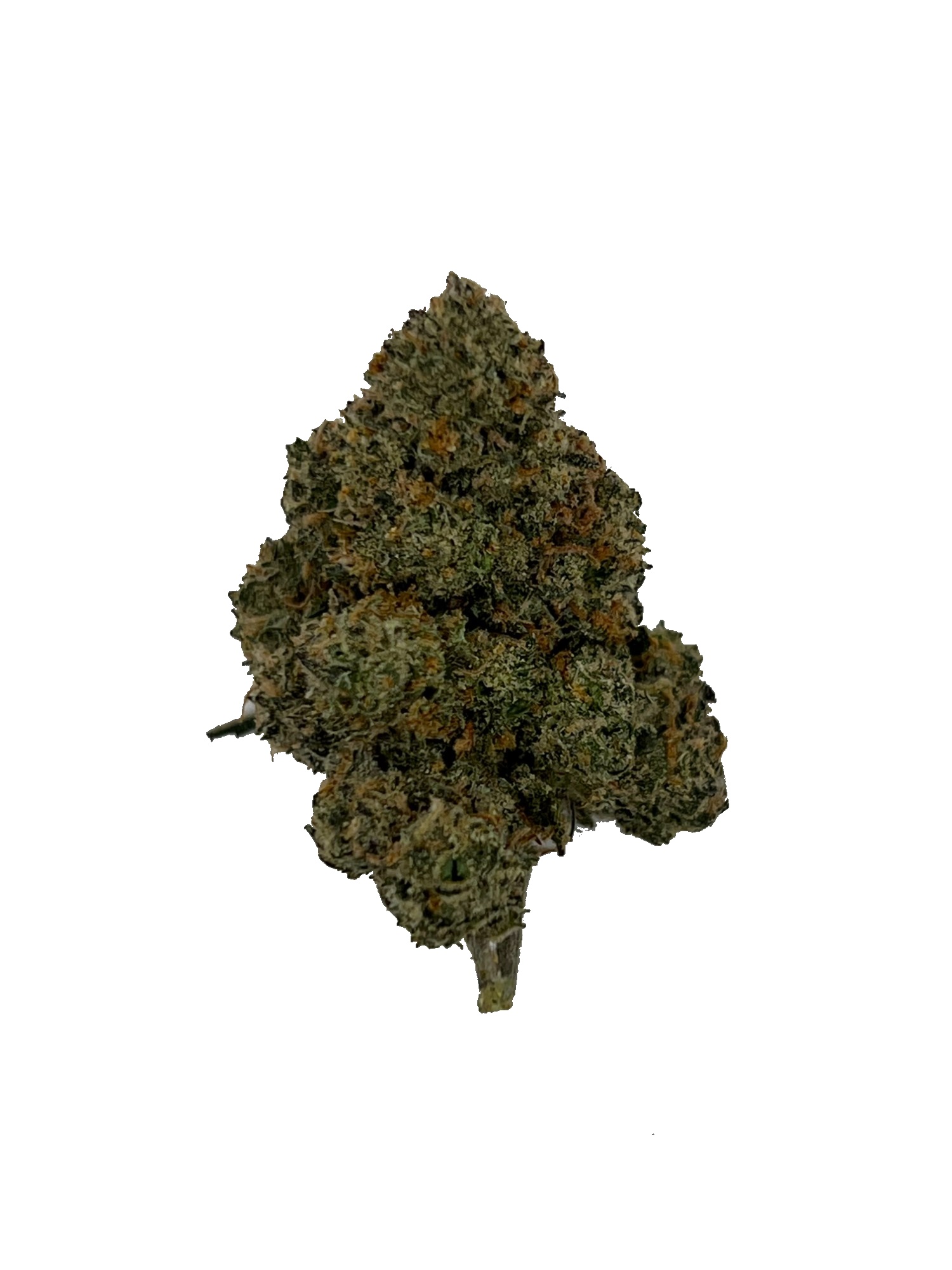 Durban Poison
